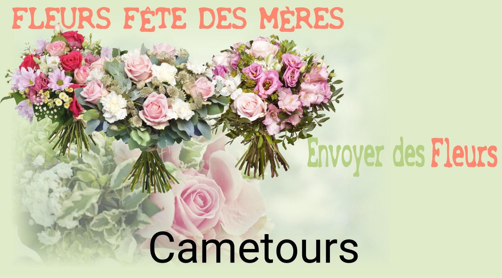 Bouquet de Fête des Mères livré à Cametours